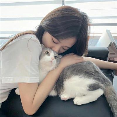 迷雾惊魂